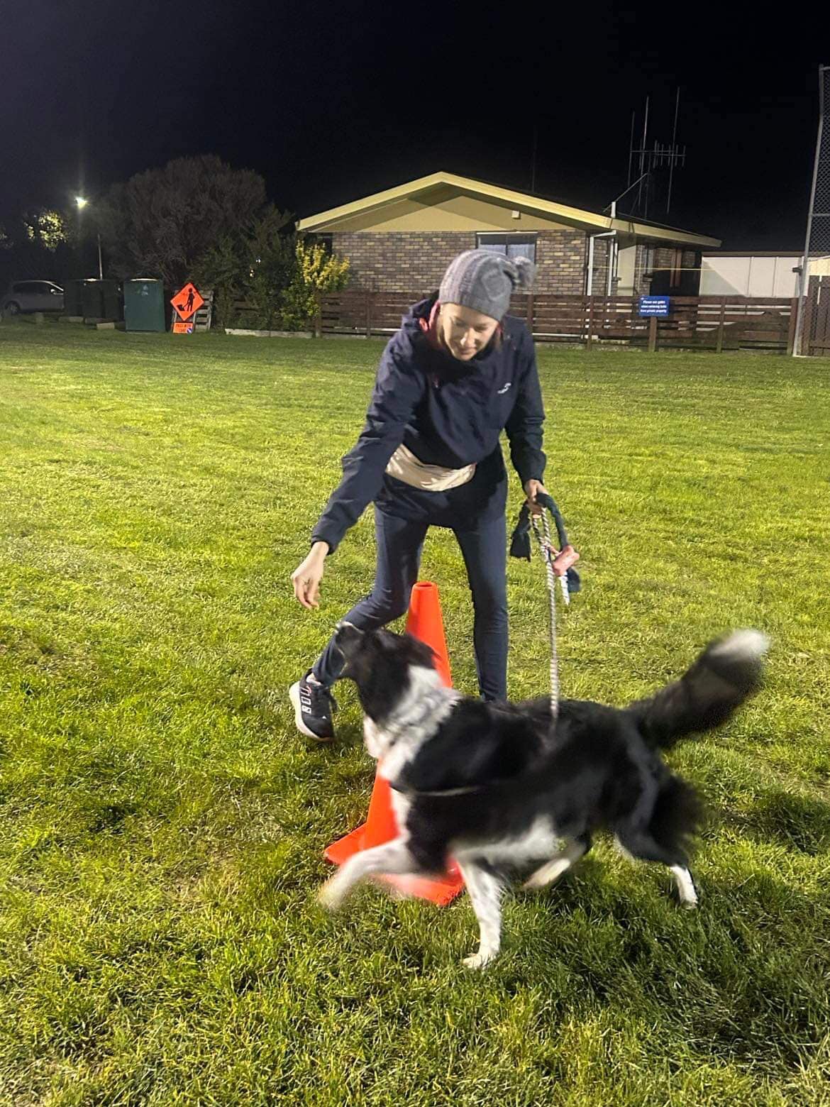 Foundation for Agility Training Tauranga Dog Training Club