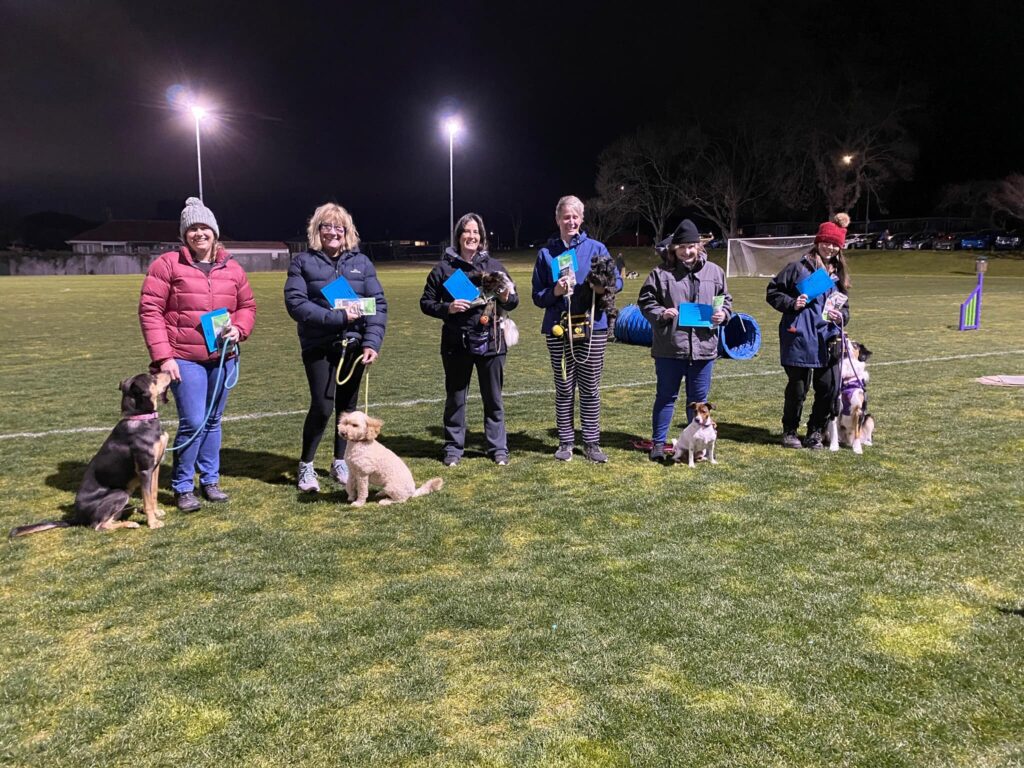 Foundation for Agility Training Tauranga Dog Training Club