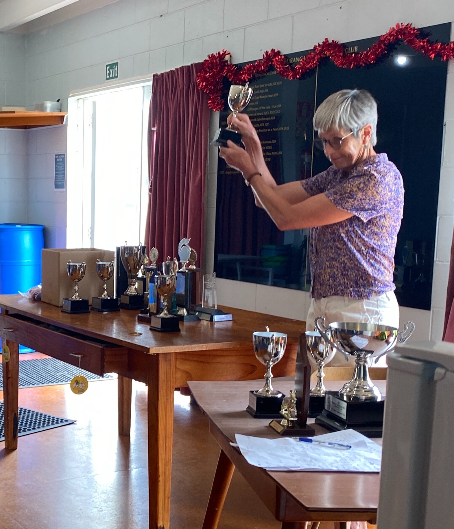 Tauranga Dog Training Club Official site for Tauranga Dog Training Club